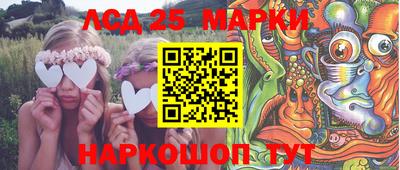 шишки Бердск