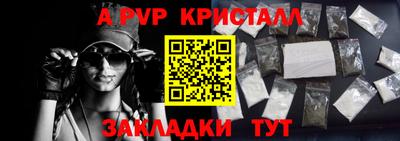 шишки Бердск