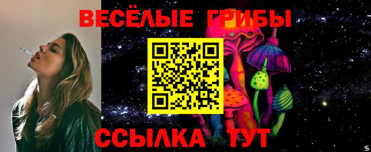 Галлюциногенные грибы прущие грибы  Вход с VPN  купить наркоту  Тара 